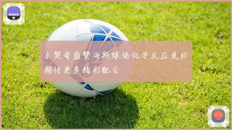 东契奇盛赞海斯球场化学反应良好期待更多精彩配合