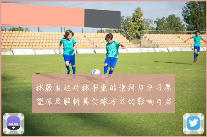 林葳表达对林书豪的崇拜与学习愿望深度解析其打球方式的影响与启发