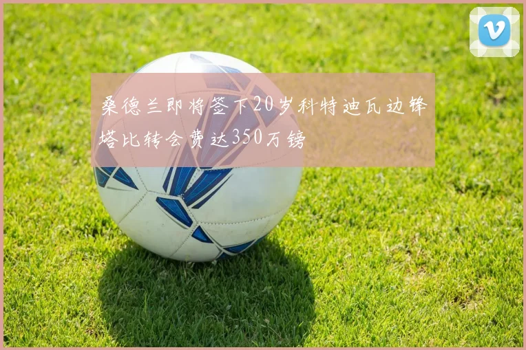 桑德兰即将签下20岁科特迪瓦边锋塔比转会费达350万镑