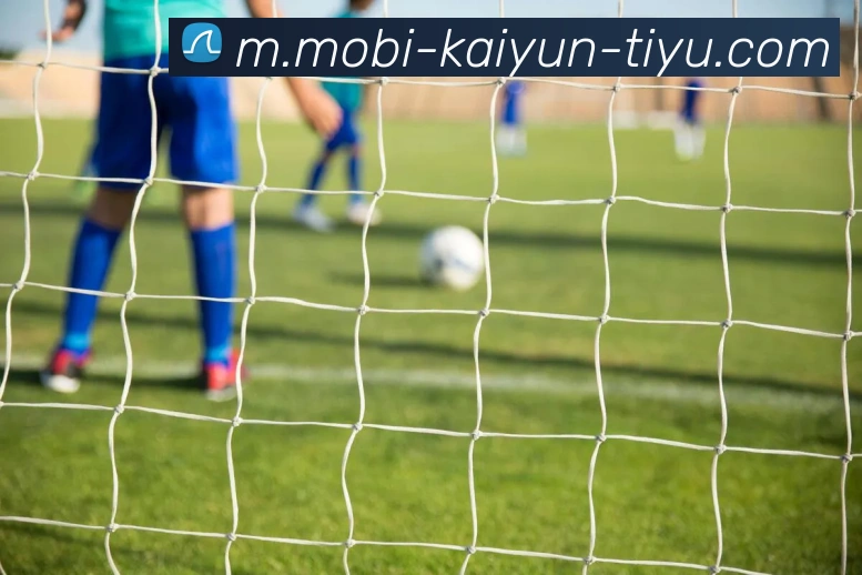 开云体育APP 体育赛事宣传图